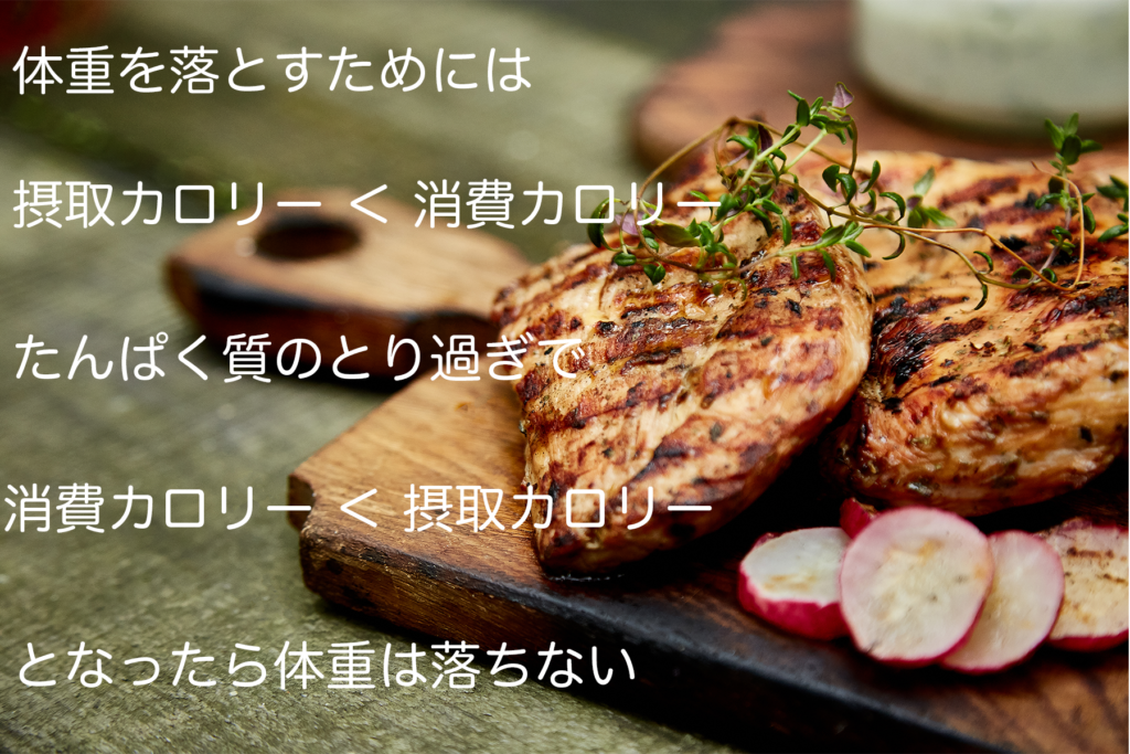 ダイエットに効果的なタンパク質量と食べる物の決め方